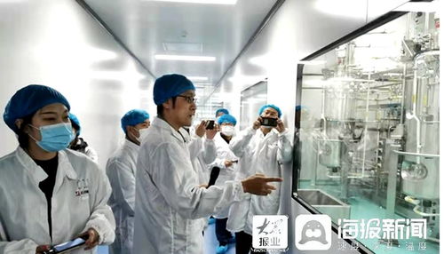 石藥集團煙臺生物醫(yī)藥高科技產(chǎn)業(yè)園 打造全國最大生物醫(yī)藥產(chǎn)業(yè)化基地，融合通信技術(shù)開發(fā)新動能