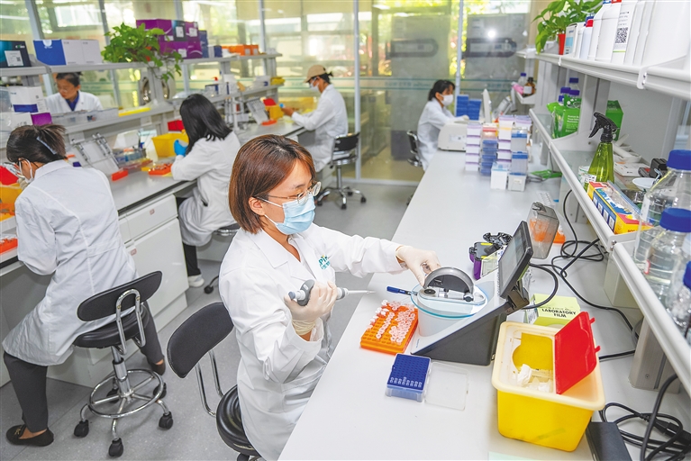 潛心科研，培育農業“芯”與通信技術開發的雙重革命